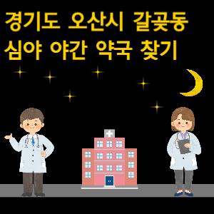 오산시 갈곶동 심야 야간 약국 찾기