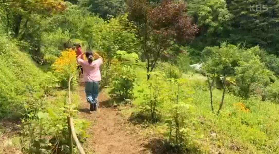 인간극장 꽃밭의 여인 보러 가기 방송시간 레전드 정리 7