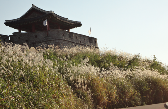 경기도 수원 단풍명소 BEST 07 가을 나들이 가볼만한곳