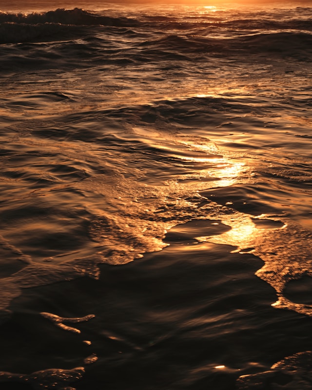 2026년 새해인사말 짧은 문구 베스트 60선