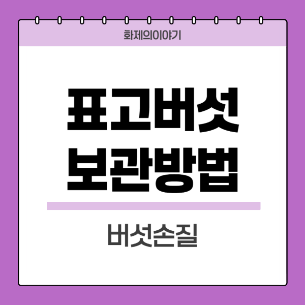 표고버섯-보관방법