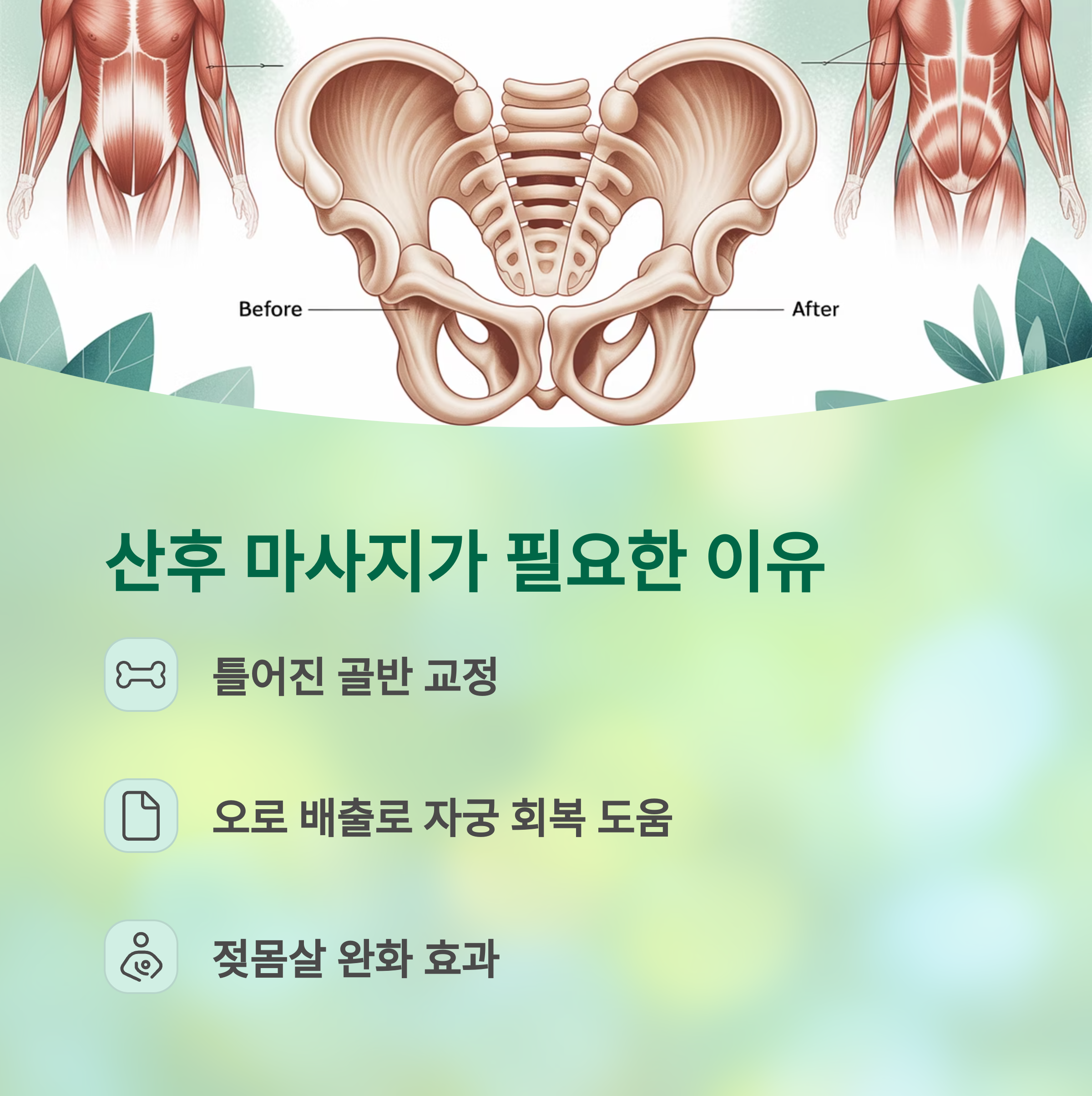인체 골반 해부학 그림과 ‘산후 마사지가 필요한 이유’에 대해 틀어진 골반 교정, 오로 배출로 자궁 회복 도움, 젖몸살 완화 효과를 설명하는 이미지