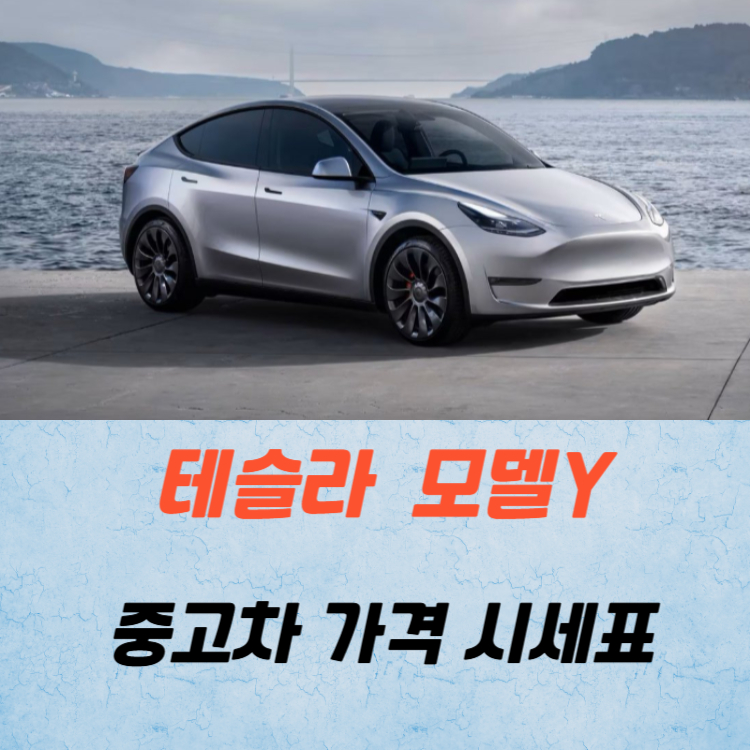 테슬라 모델Y 중고차 가격 시세표 유지비