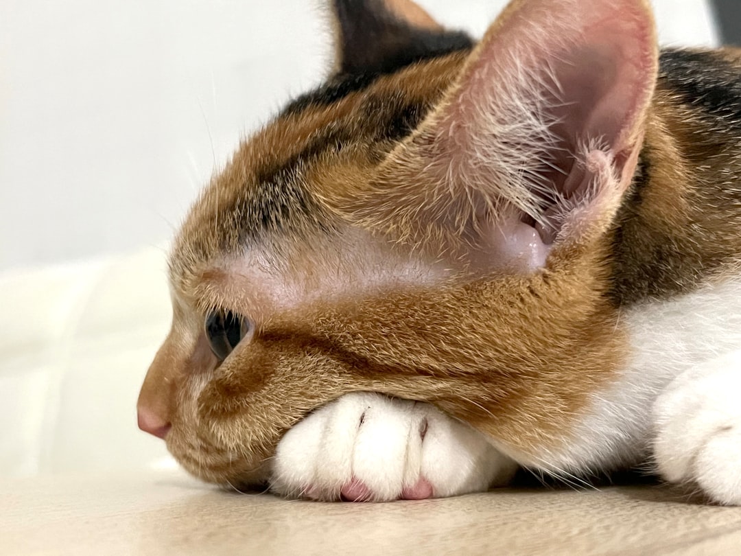 Swelling