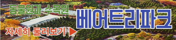 베어트리파크 둘러보기