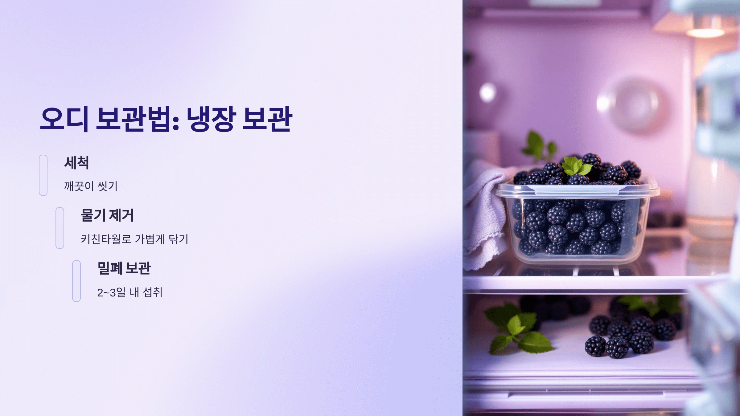 오디 사진입니다.