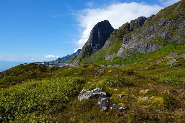 마산 해안도로 5월의 꽃 다정큼나무 산딸나무 해당화_4