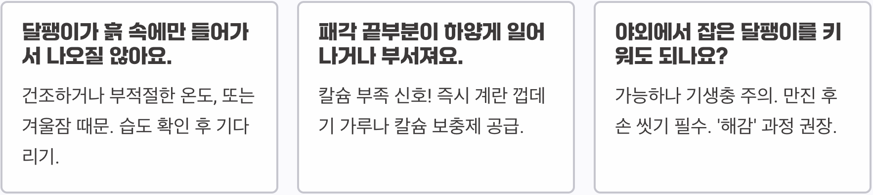 애완 달팽이 키우기 A to Z (사육장, 먹이, 습도 관리법)