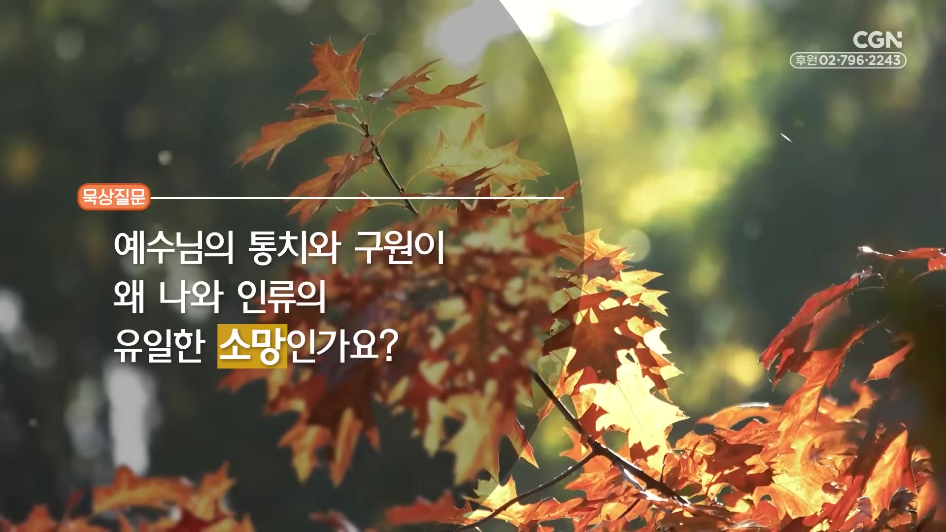 예수님의 통치와 구원이 왜 나와 인류의 유일한 소망인가요?