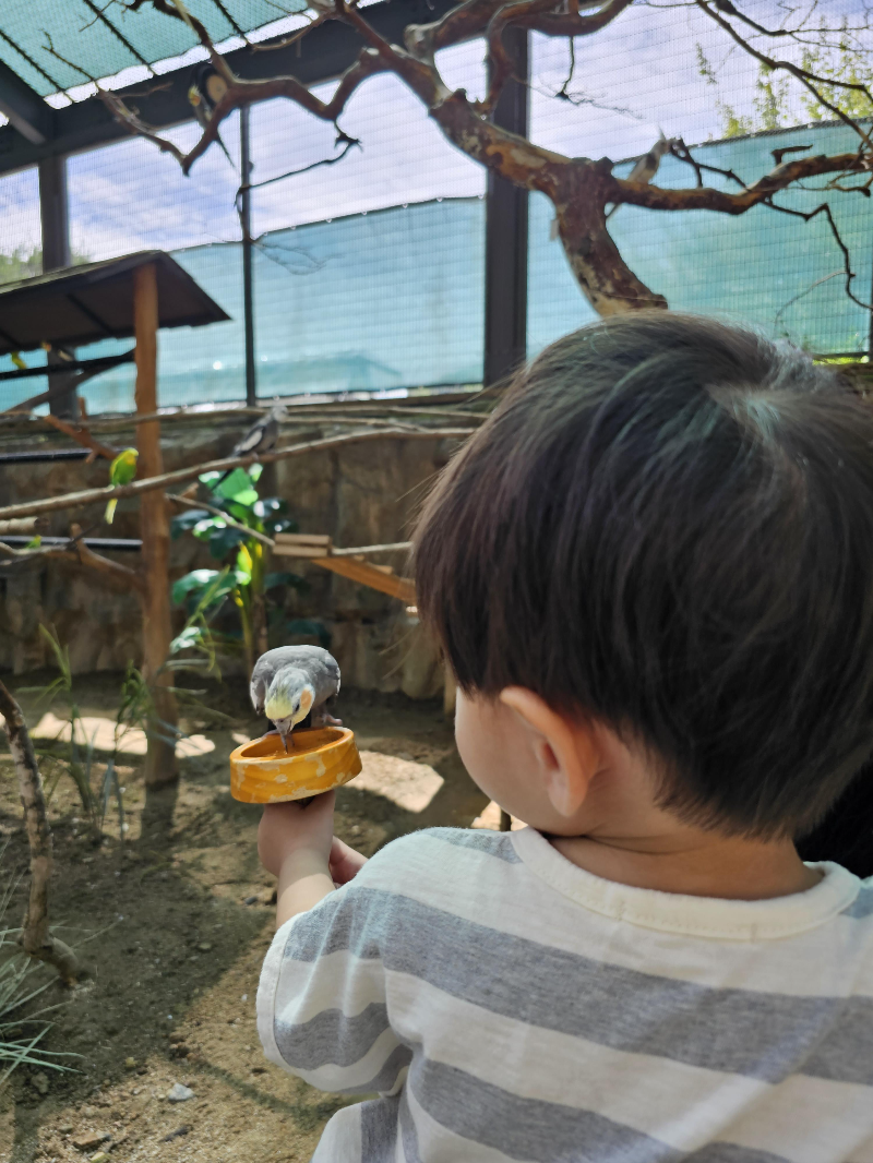 또 다른 모이주는모습