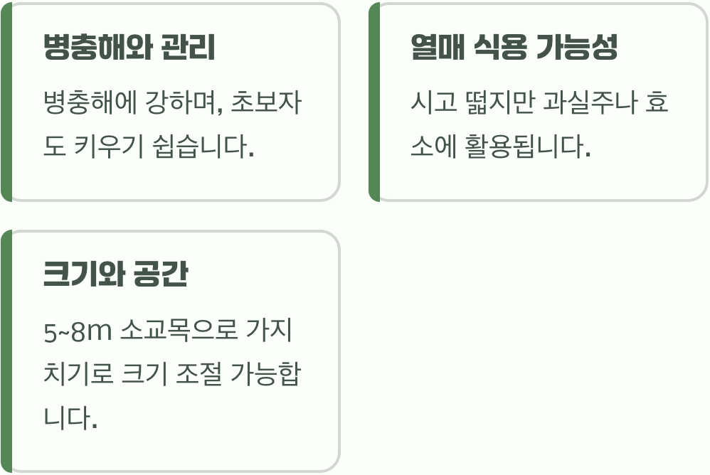 정원수로 최고! 야광나무 키우기, 실패하지 않는 5가지 비결