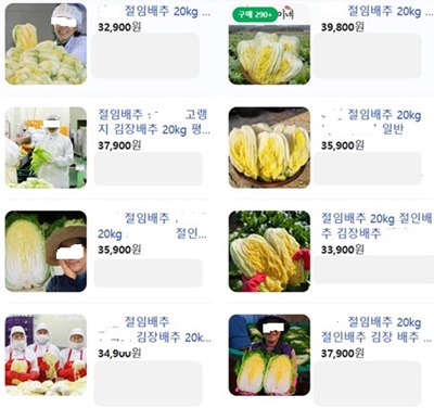 김장 김치 간단히 ; 절임배추 구매