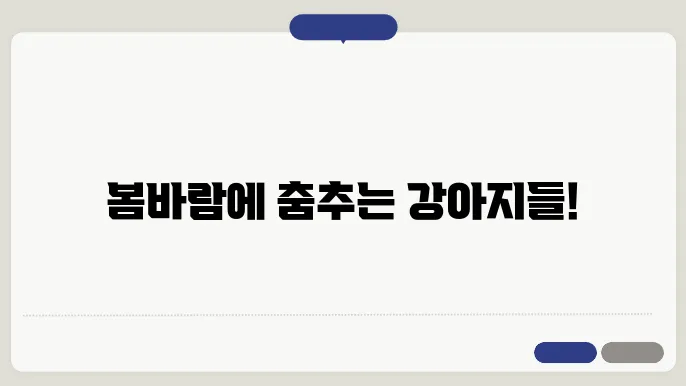 수원강아지보호소에서 봄을 맞이하는 강아지들