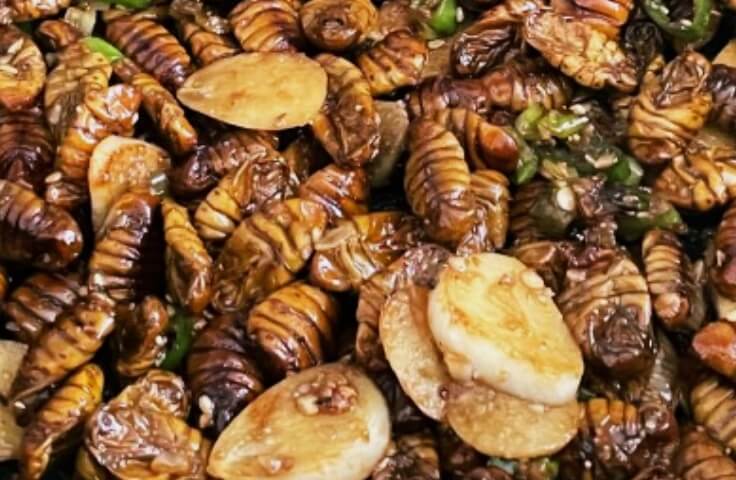 마늘이-들어간-번데기-요리