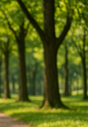 간에 좋은 음식 10