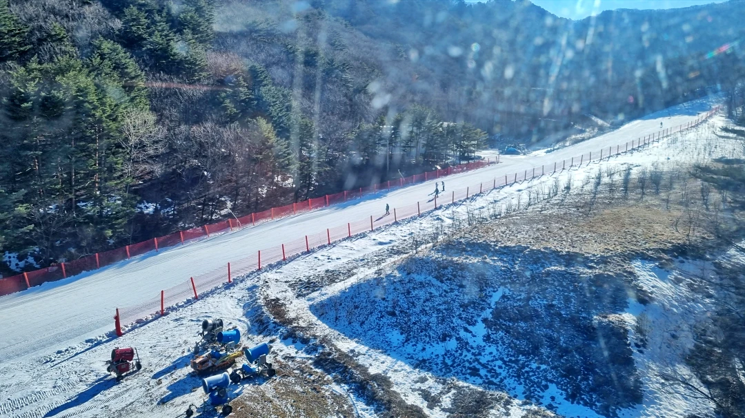 용평 스키장에서 스키를 타고 5명의 사람들이 내려오고 있다
