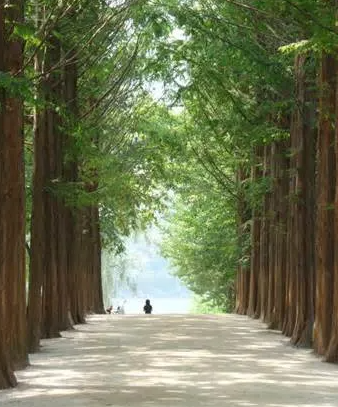 가평 반려동물 문화행사 활짝펫