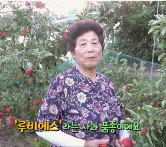 사노라면-경산-미니사과-구아네농장