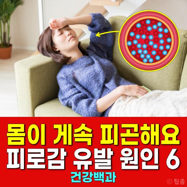 피곤해요 피로감 만성피로 원인