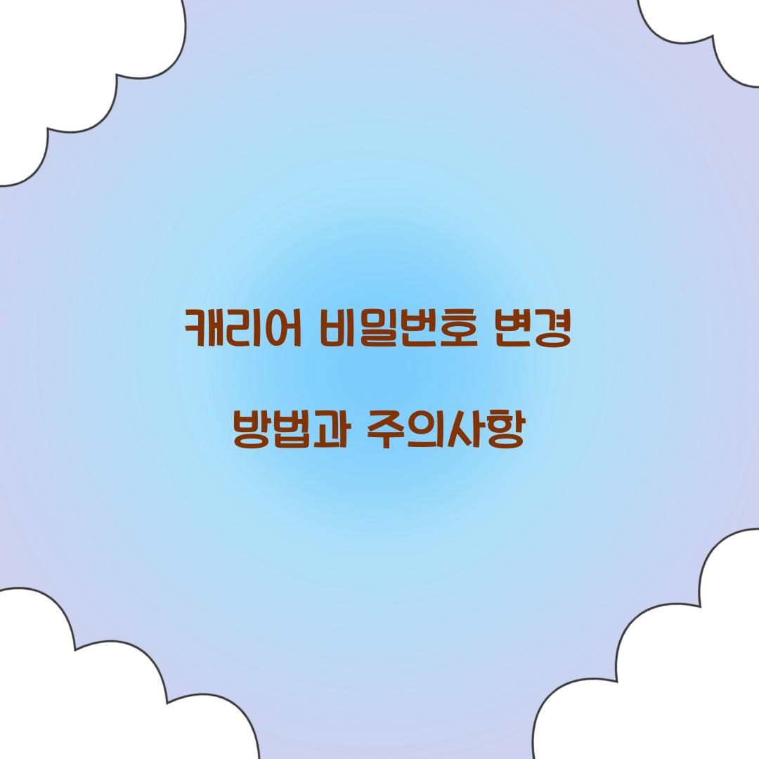 캐리어 비밀번호 변경
