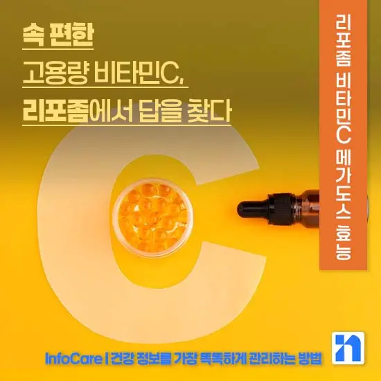 리포좀 비타민C 메가도스 효능