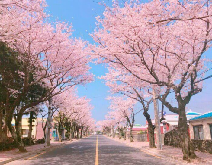 제주 예쁜 카페 제주 구좌읍 예쁜 카페 제주공항 근처 예쁜 카페 제주 중문 예쁜 카페 강릉 오션뷰 카페 광안리 오션뷰 카페 속초 오션뷰 카페 광안리 카페 오션뷰 속초 카페 오션뷰 포항 오션뷰 카페 해운대 오션뷰 카페 부산 오션뷰 카페 여수 오션뷰 카페 기장 오션뷰 카페 영종도 오션뷰 카페 울산 오션뷰 카페 서귀포 오션뷰 카페 인천 오션뷰 카페 남해 오션뷰 카페 태안 오션뷰 카페 대천 오션뷰 카페 거제 오션뷰 카페 근처 오션뷰 카페 서해 오션뷰 카페 양양 오션뷰 카페 오션뷰 카페 오션뷰 카페 인생샷성지 오션뷰 카페 브금강사