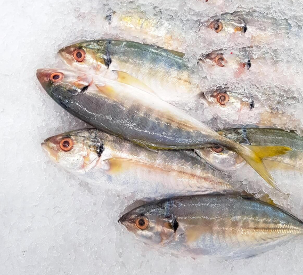 오메가3 효능 사진 3