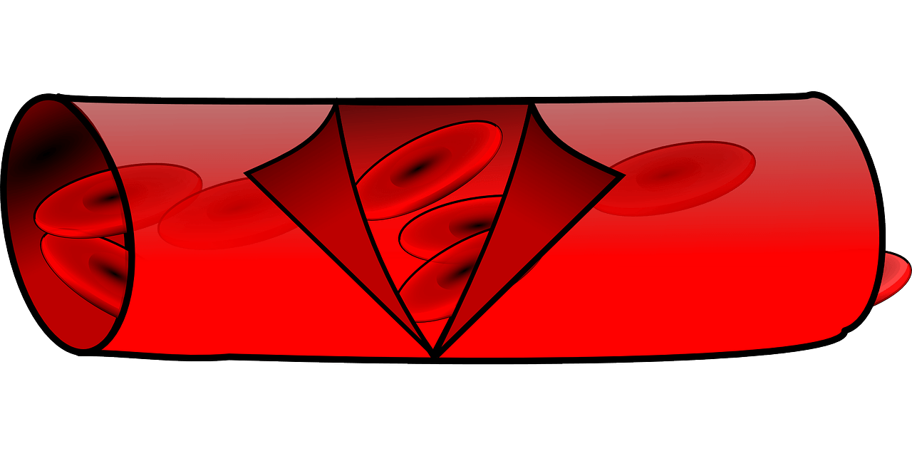 콜레스테롤 낮추는 영양제