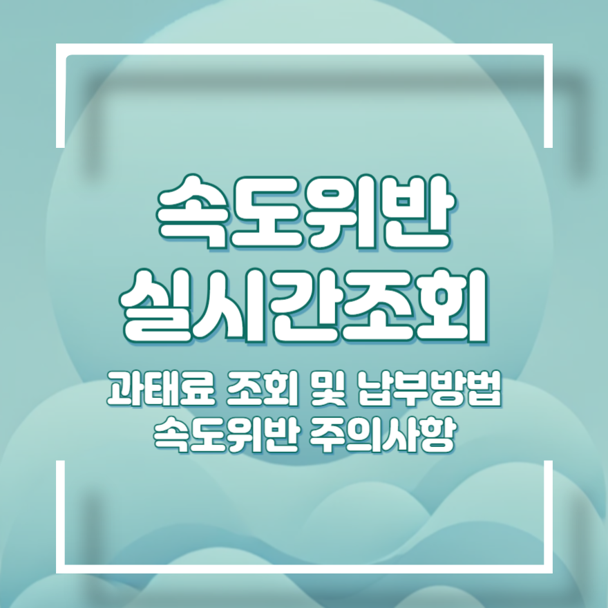 속도위반 실시간 조회