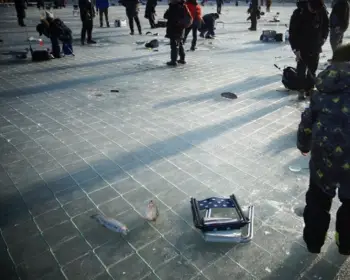 평창 송어축제_19