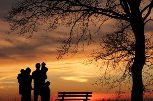 입양 조건 절차 확인하기