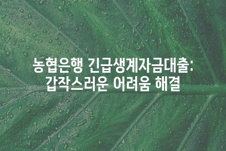 샘플 (44)