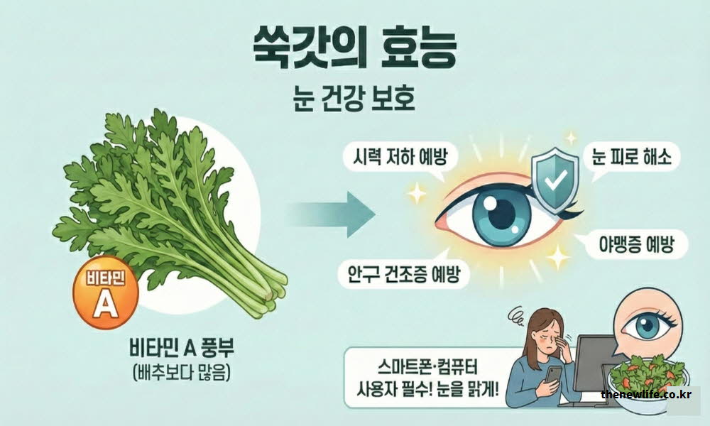 쑥갓 효능 눈 건강 안구 질환 예방