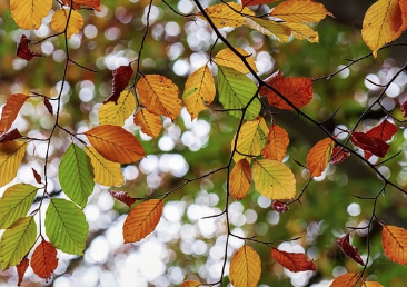 기온별 옷차림 정리! 2026 봄 여름 가을 겨울철 필수 체크