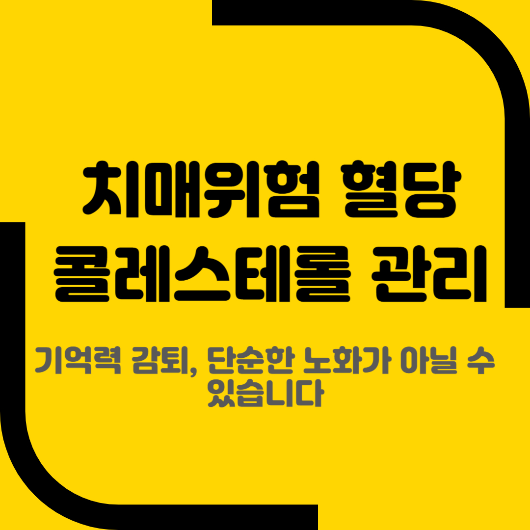 치매위험 혈당 콜레스테롤 관리