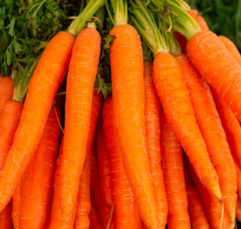 비타민A 복용시간 풍부한 식품