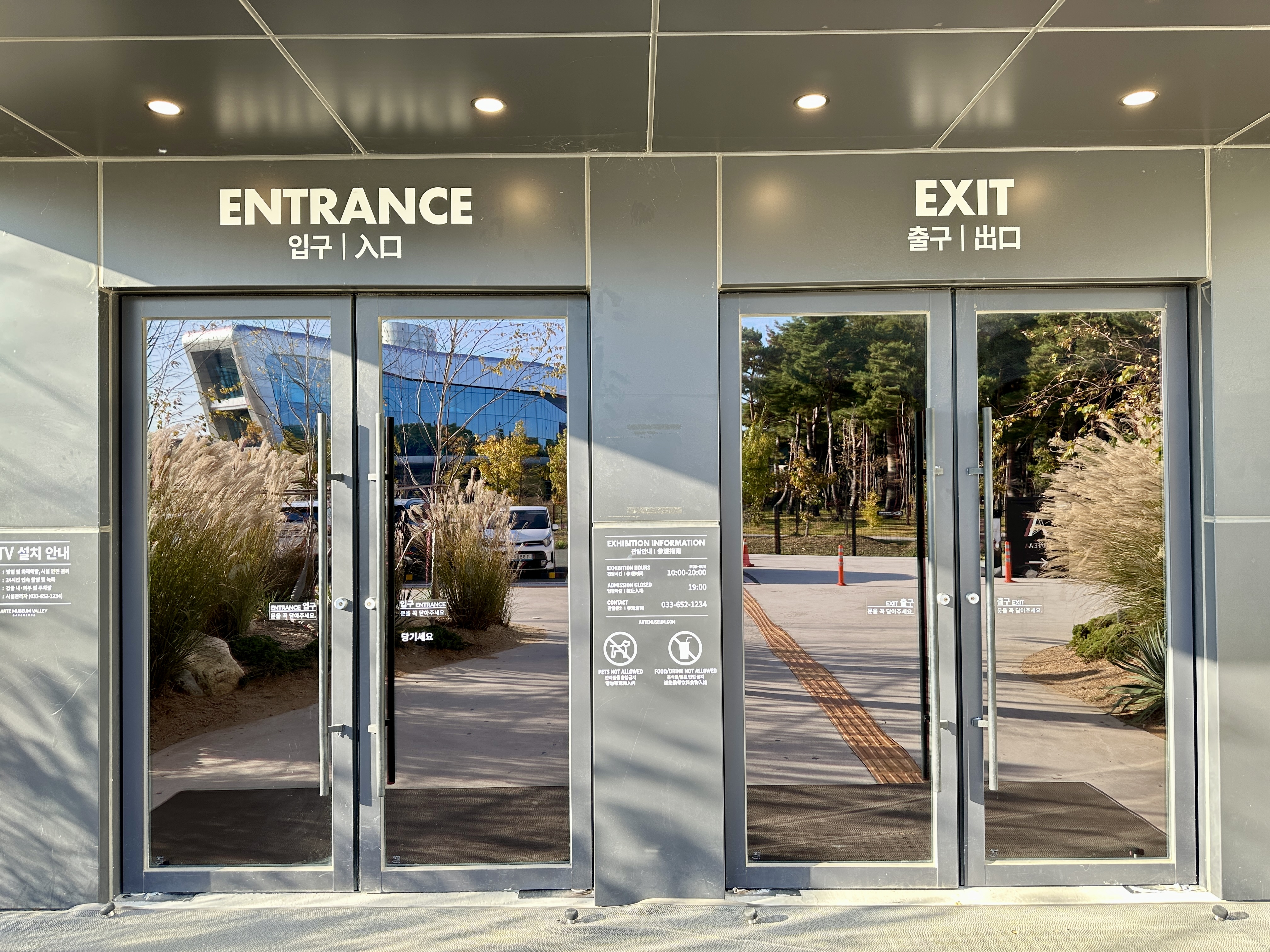 강릉 아르떼 뮤지엄