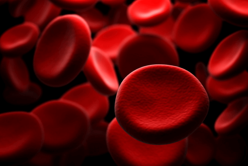 혈관에-흐르는-피