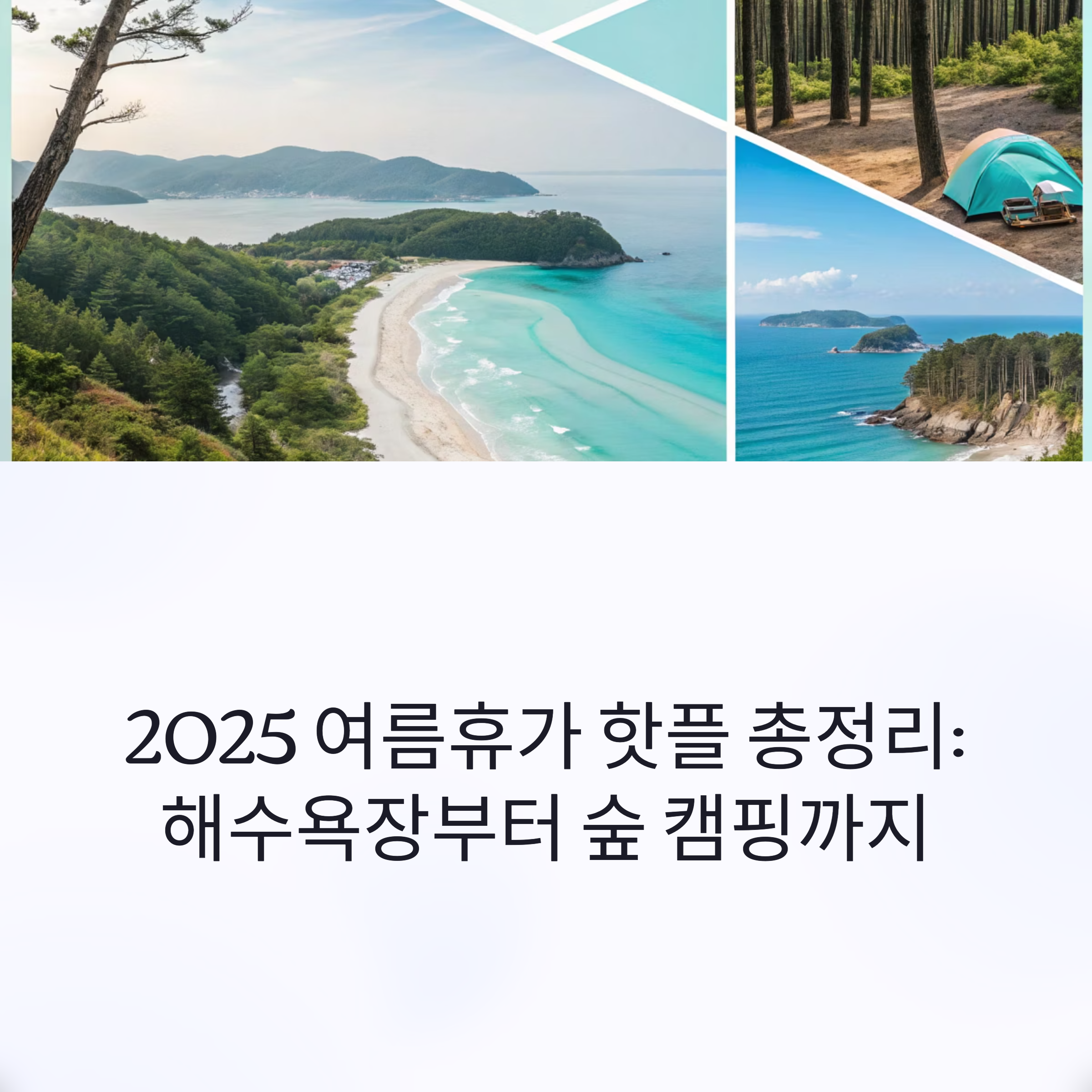 2025 여름휴가 핫플 총정리 : 해수욕장부터 숲 캠핑까지