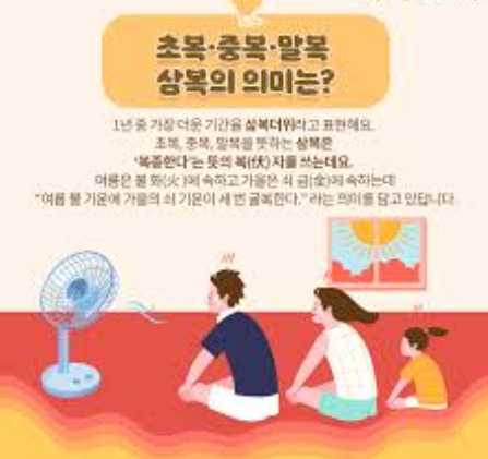 2025 삼복날짜 보양식