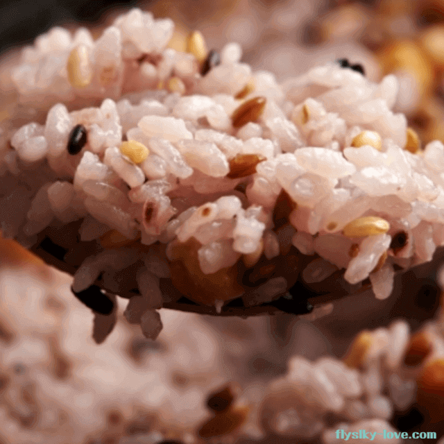 백미와 가바현미로 지은 밥