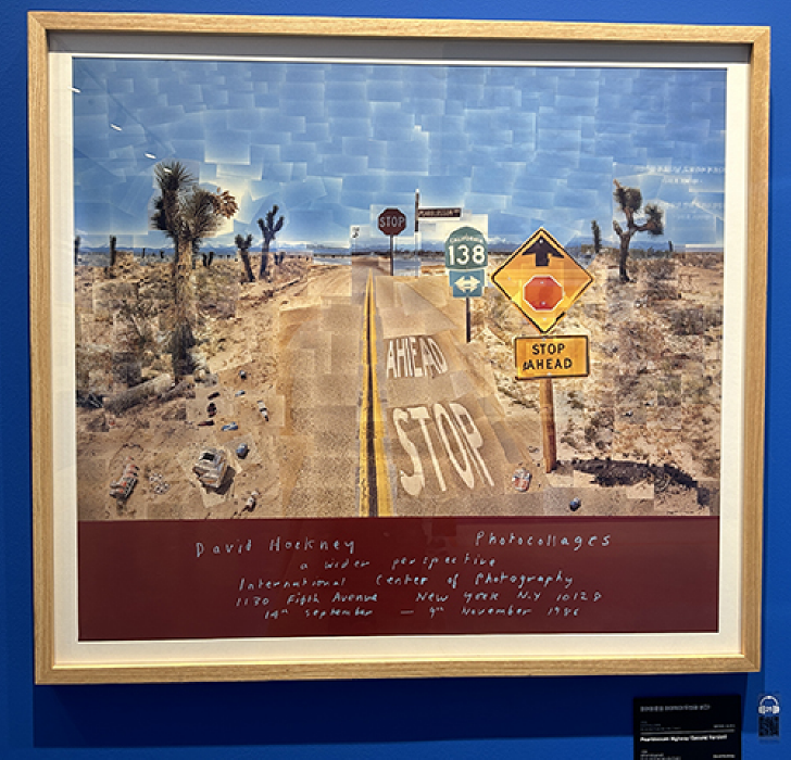 데이비드-호크니-브리티시-팝아트-전시-내부29