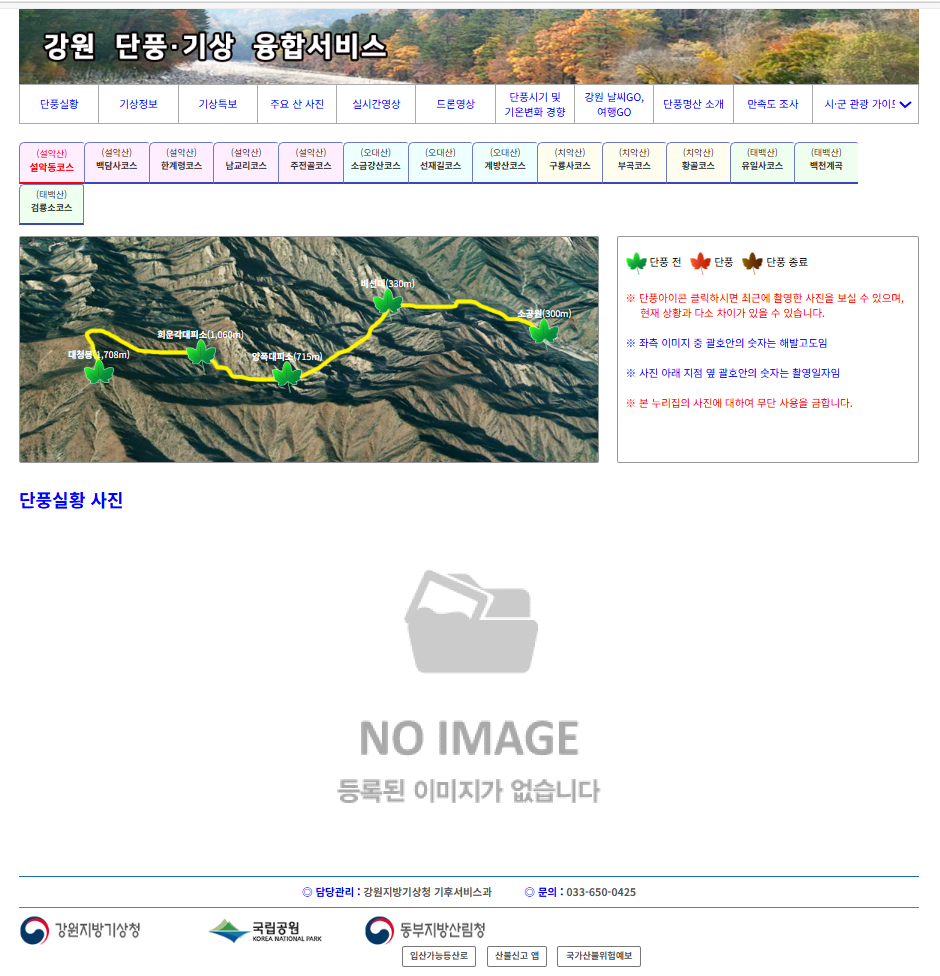 2025 설악산 오대산 치악산 태백산 단풍시기 실시간조회