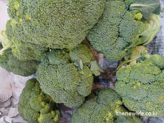 설탕 중독 증상에서 벗어나는 방법으로 신선한 브로콜리 다발