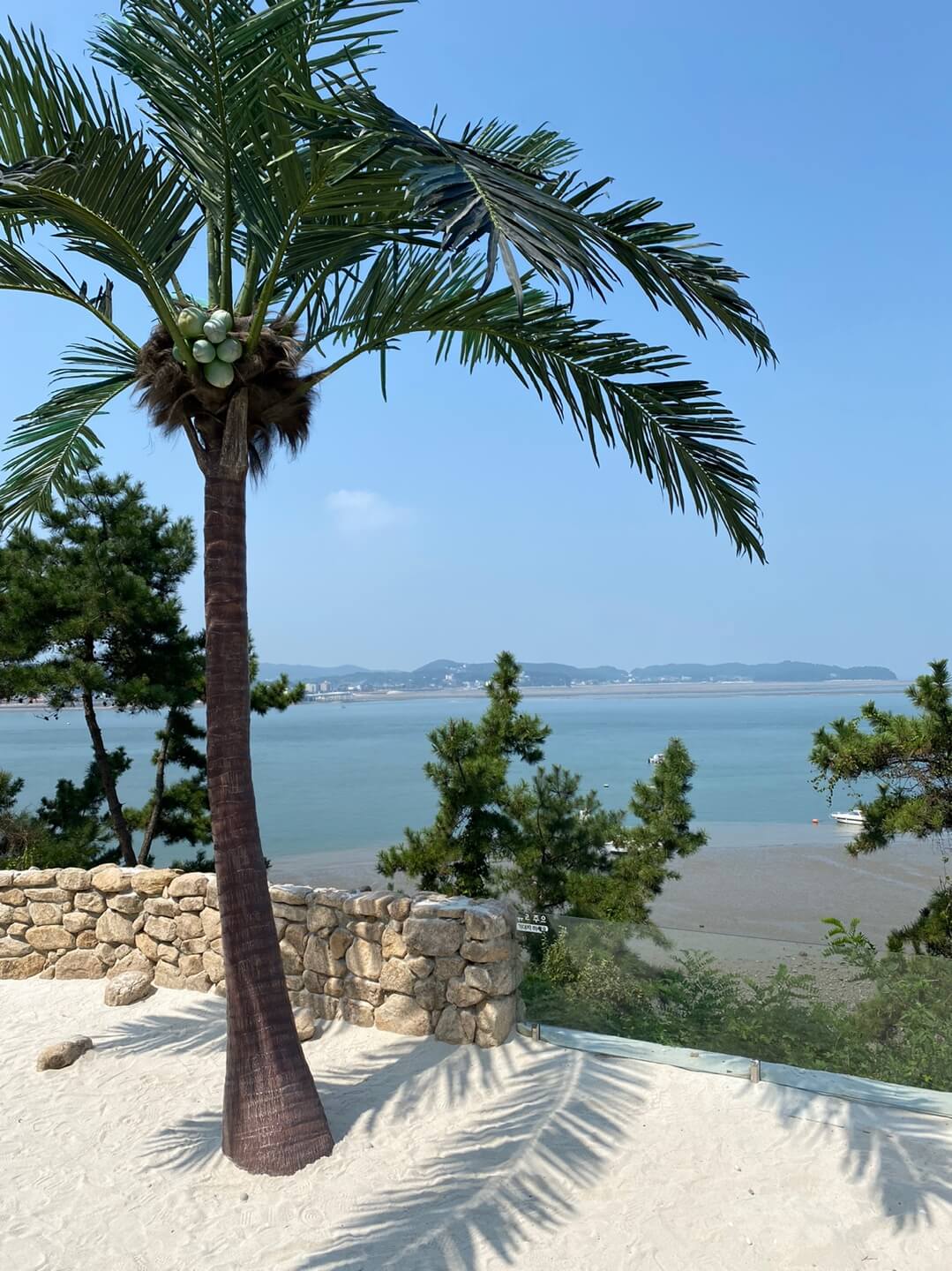 카페-플로레도-야외-이미지