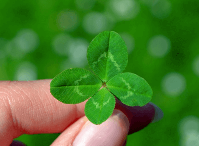 2025년 띠별운세