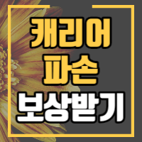 캐리어가 파손되었을 때 보상받는 방법을 안내합니다.