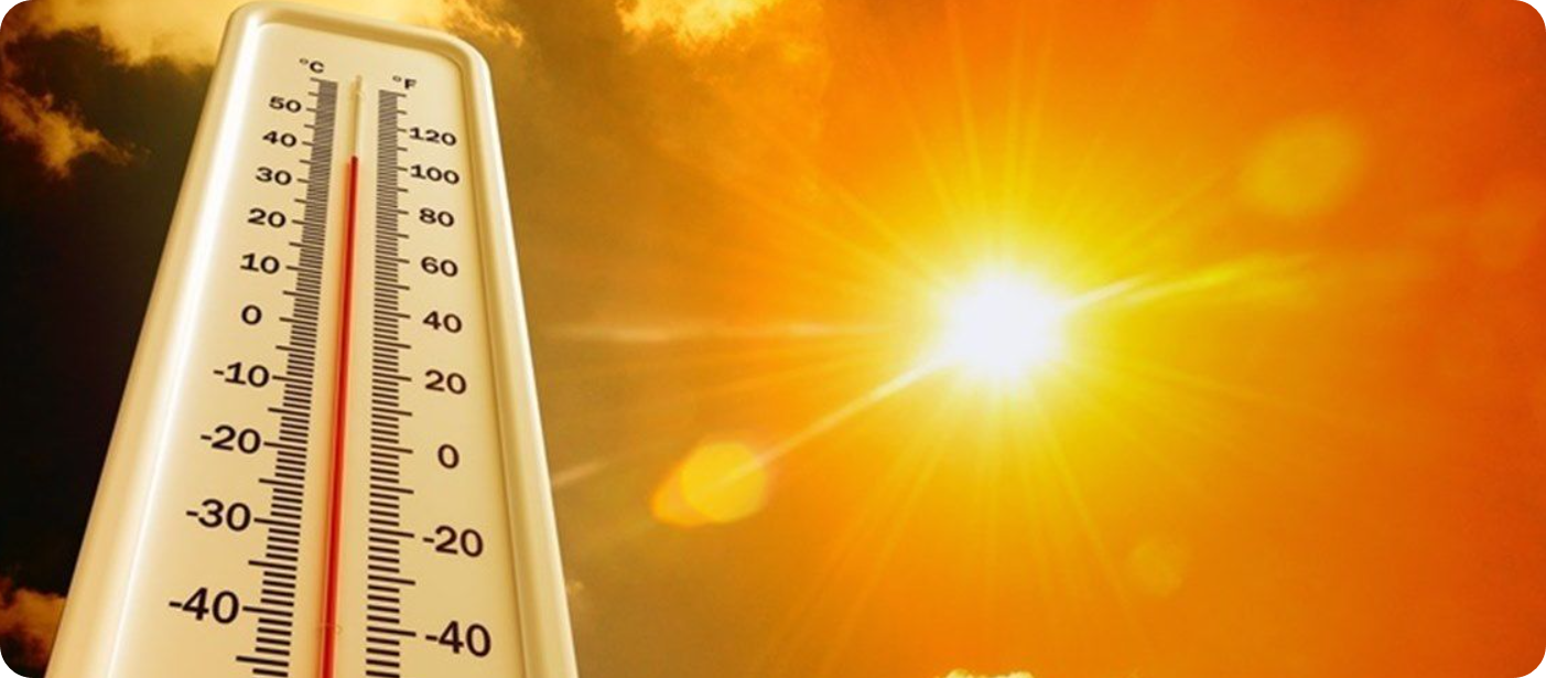 단순 더위 아냐! 폭염 생존 전략 &ndash; 지금 꼭 확인해야 할 체크포인트