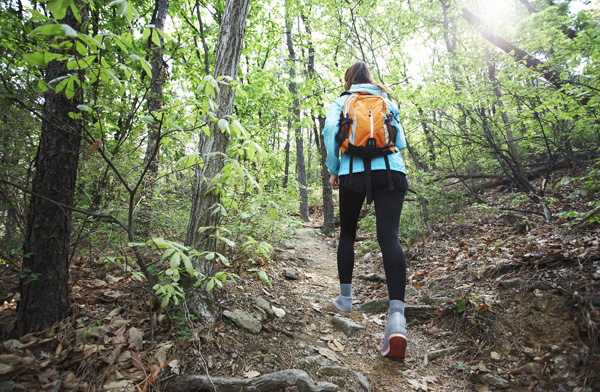 실외 유산소 운동: 등산