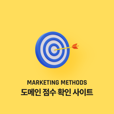 도메인 점수 확인